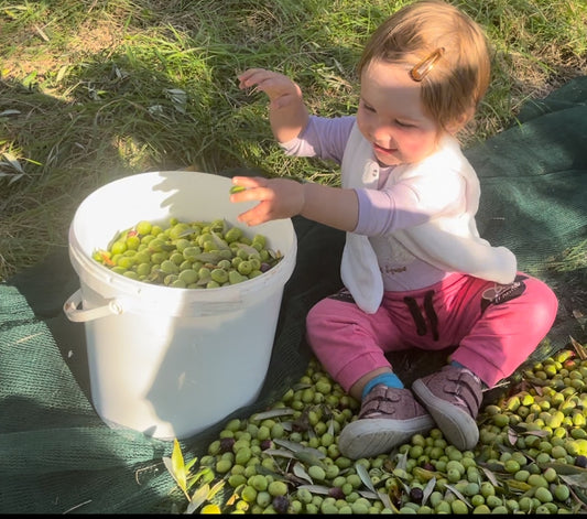 Enjoying Outdoor Play with Fruits in an Olive Tree Garden